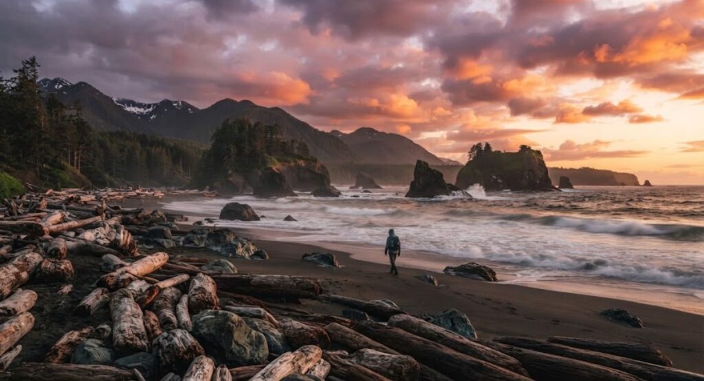 Aesthetic Pacific Northwest 